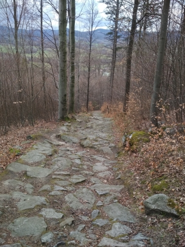 IMG 20230326 164108